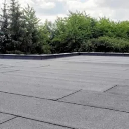 Szary, płaski dach pokryty papą termozgrzewalną na tle zieleni drzew. Widoczny komin z obróbką blacharską. Kąt ujęcia z dołu.