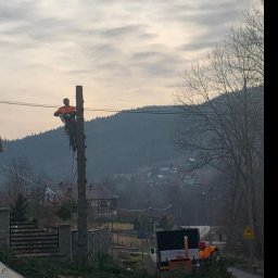 Drwalmar - Pracownik w pomarańczowej odzieży ochronnej, zabezpieczony linami, przycina wysokie drzewo przy drodze, z widocznym stosem gałęzi i rębakiem na przyczepie w tle, na tle górskiego krajobrazu.