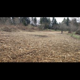 Drwalmar - Przygotowany teren pod przyszły ogród, pokryty warstwą ściółki z rozdrobnionych gałęzi i kory, otoczony drzewami na skraju lasu.