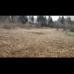 Przygotowany teren pod przyszły ogród, pokryty warstwą ściółki z rozdrobnionych gałęzi i kory, otoczony drzewami na skraju lasu.