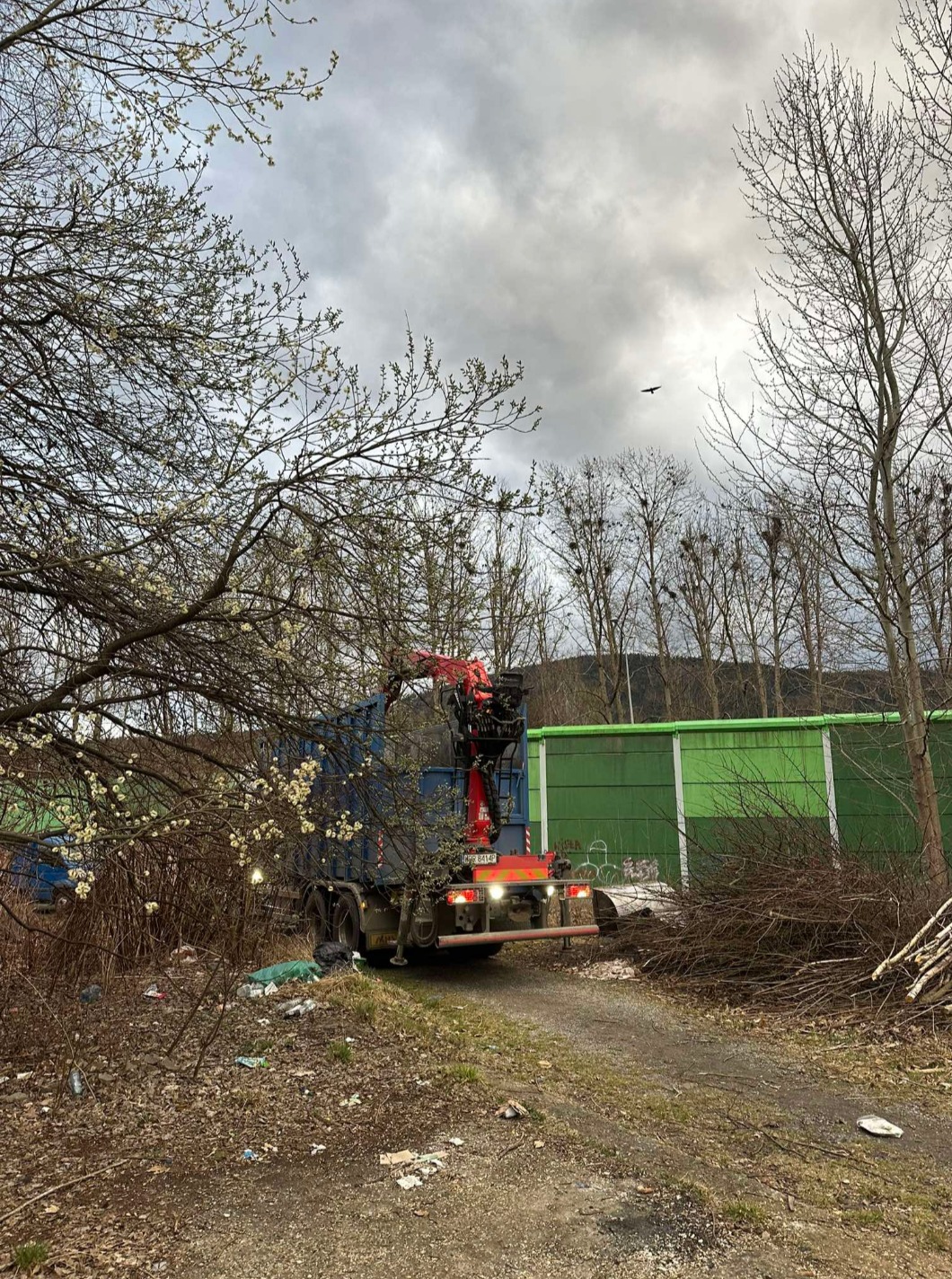 Ciężarówka z dźwigiem zbiera gałęzie i odpady po wycince drzew, widoczne kwitnące gałęzie, w tle zielony ekran akustyczny i pochmurne niebo.