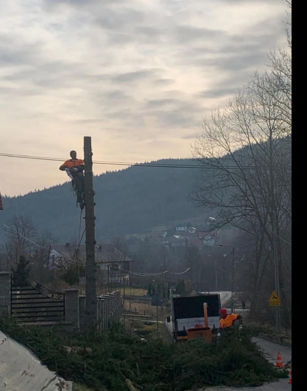 Pracownik w pomarańczowej odzieży ochronnej, zabezpieczony linami, przycina wysokie drzewo przy drodze, z widocznym stosem gałęzi i rębakiem na przyczepie w tle, na tle górskiego krajobrazu.