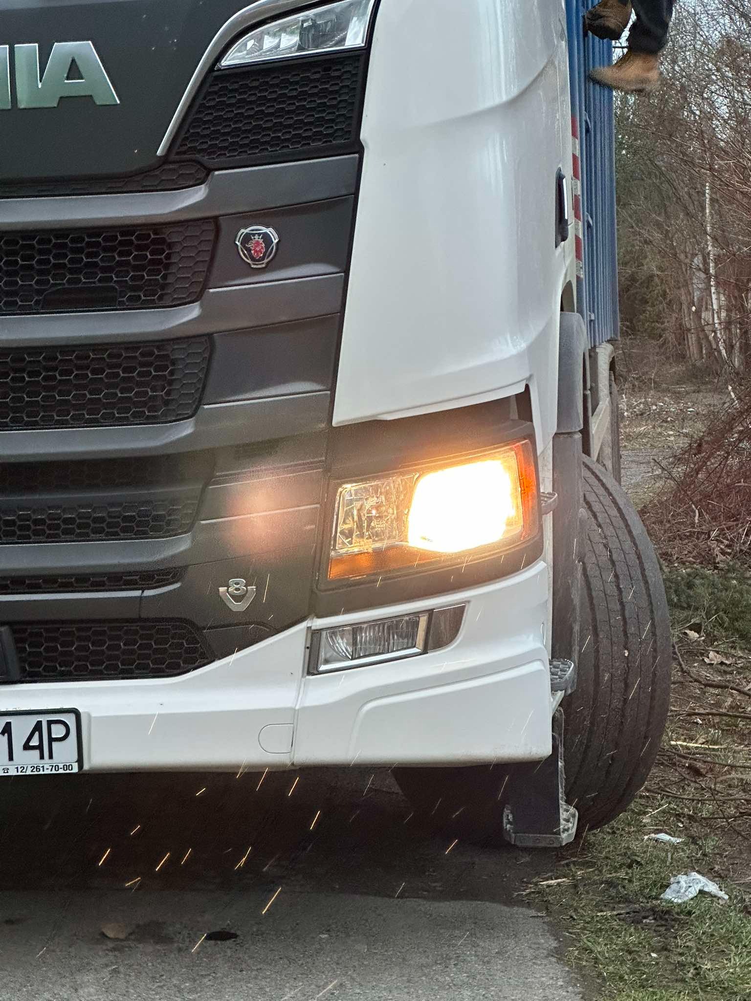Przód białej ciężarówki Scania z włączonym reflektorem, widoczne tablice rejestracyjne i fragment sylwetki osoby w butach na górze skrzyni ładunkowej, w tle drzewa bez liści.