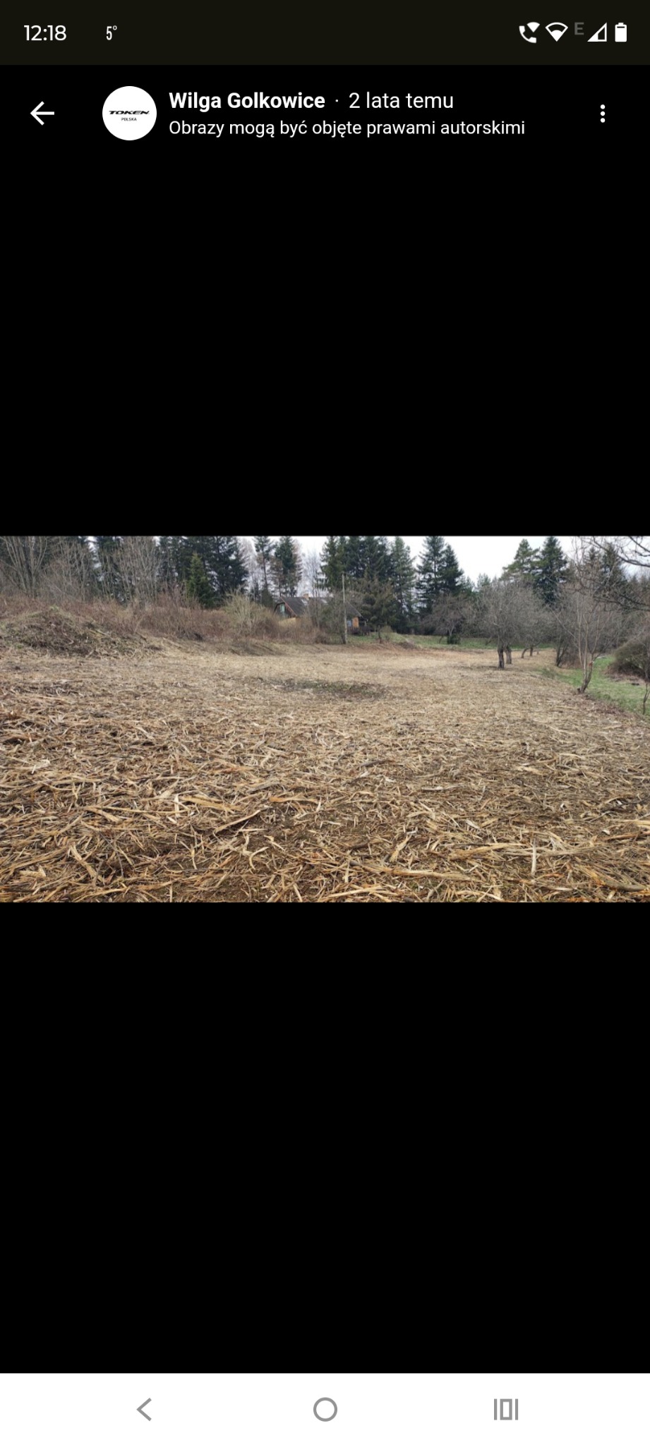 Przygotowany teren pod przyszły ogród, pokryty warstwą ściółki z rozdrobnionych gałęzi i kory, otoczony drzewami na skraju lasu.