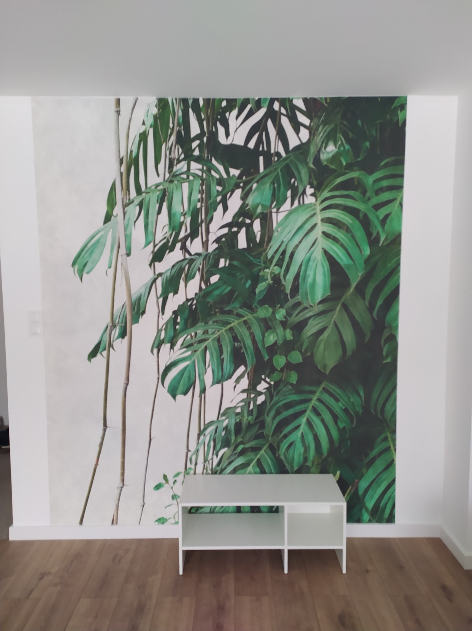 Fototapeta z motywem monstery na ścianie w jasnym wnętrzu. Na podłodze panele, przed ścianą biała szafka RTV. Minimalistyczny design, naturalne akcenty.