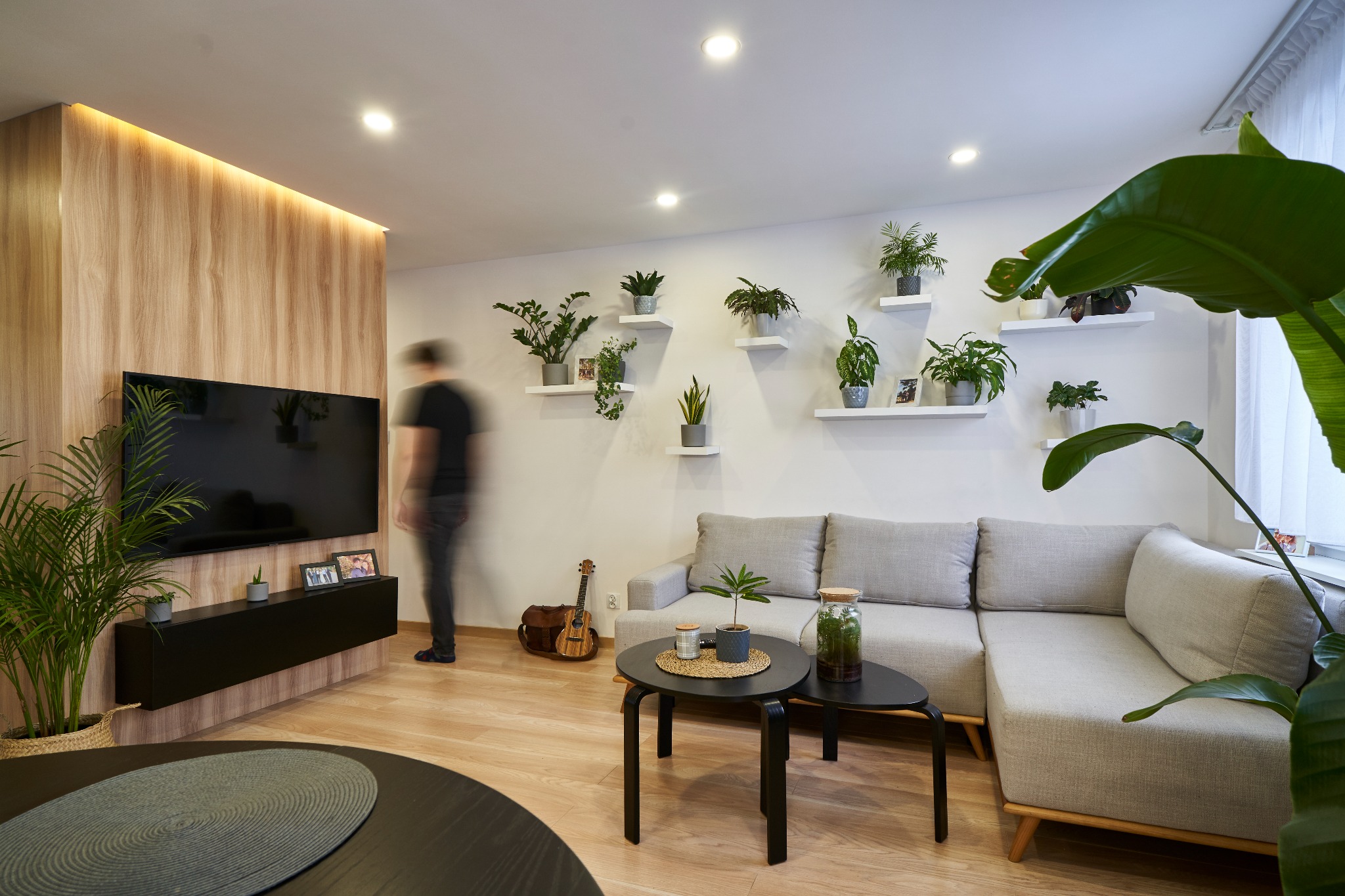 Jasne wnętrze salonu z drewnianą ścianą akcentującą, telewizorem, szarą sofą narożną, ścianą z półkami z roślinami doniczkowymi, stolikami kawowymi z dekoracjami roślinnymi oraz rozmytą sylwetką...
