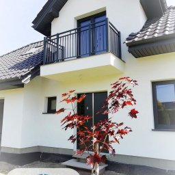 OWBET Bramy i Ogrodzenia - Biały dom z czarną stolarką okienną i balkonem z metalową balustradą, na pierwszym planie młody klon palmowy o czerwonych liściach, widoczne logo firmy w rogu.