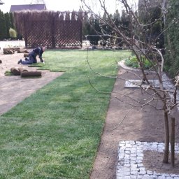 Trawa z rolki Gryfice 3