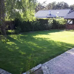 Utrzymany trawnik w ogrodzie z kostką brukową i budynkiem gospodarczym w tle, oświetlony popołudniowym słońcem.