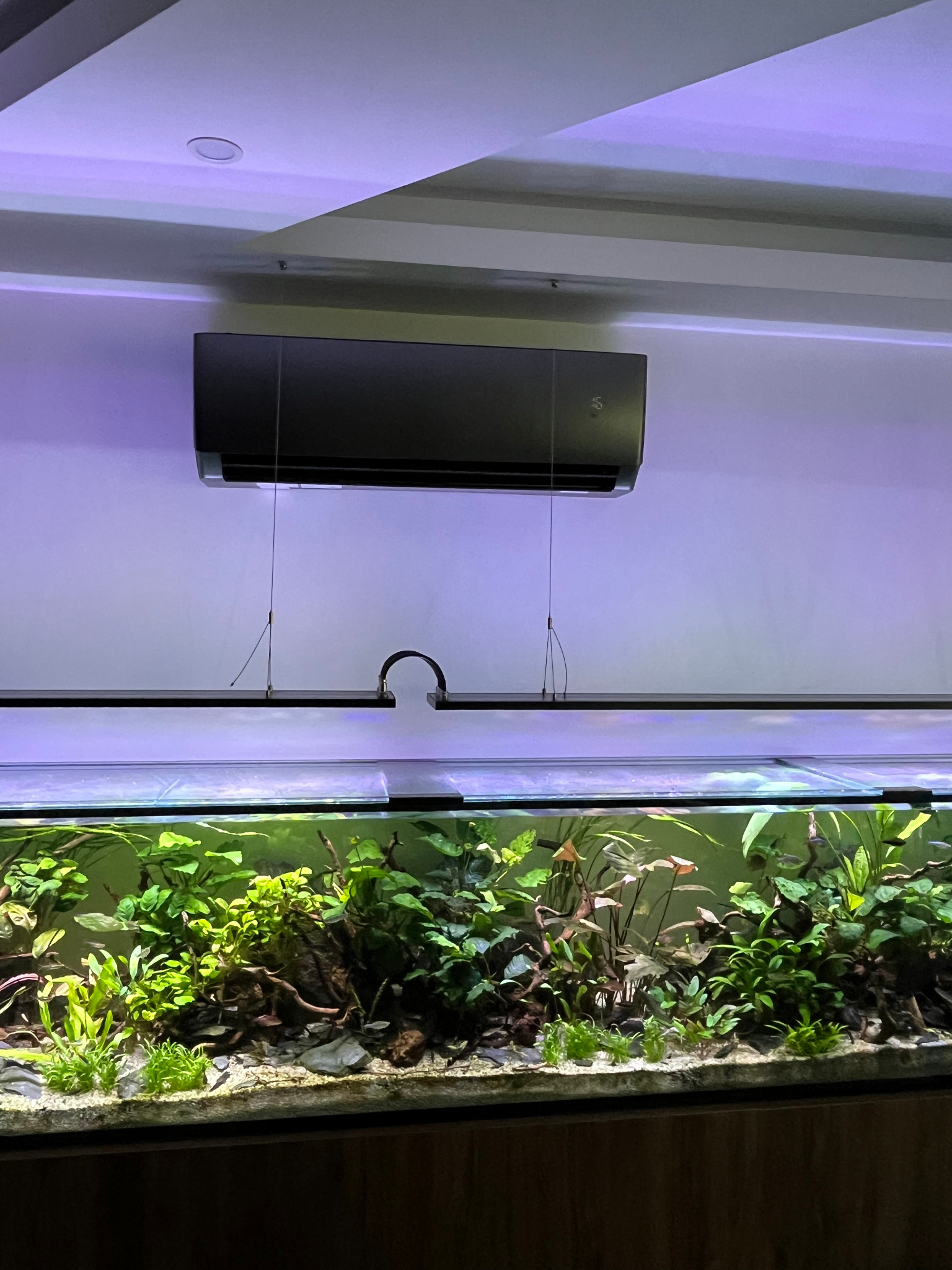 Czarny klimatyzator ścienny nad akwarium z bujną roślinnością, oświetlony listwą LED. Minimalistyczny design wnętrza, stonowana kolorystyka, nowoczesne rozwiązanie.
