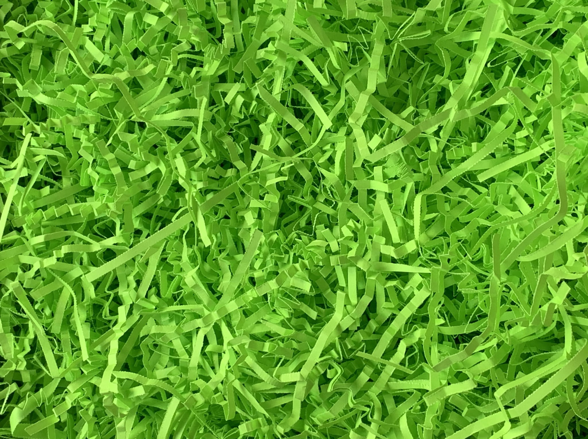 Wypełniacz ozdobny neon PakPak