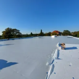 Jasna, płaska powierzchnia dachu pokryta nową, błyszczącą membraną. W tle widoczne budynki i drzewa pod błękitnym niebem. Część rolki membrany i karton na dachu.