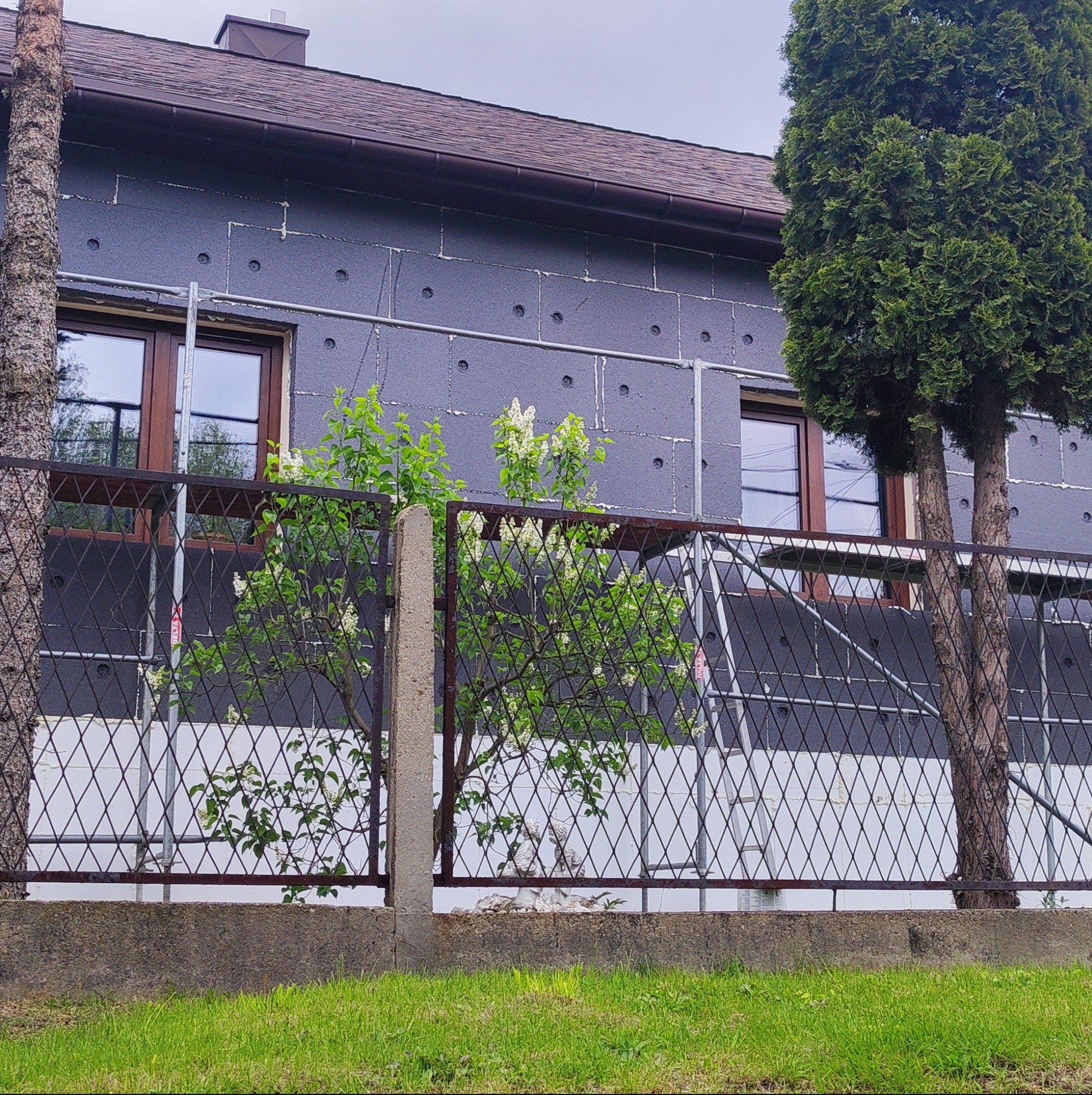 Dom w trakcie ocieplania elewacji, widoczne szare płyty izolacyjne z charakterystycznymi otworami, rusztowanie, brązowe ramy okienne, fragment ogrodu z kwitnącym krzewem bzu i tujami, ujęcie...