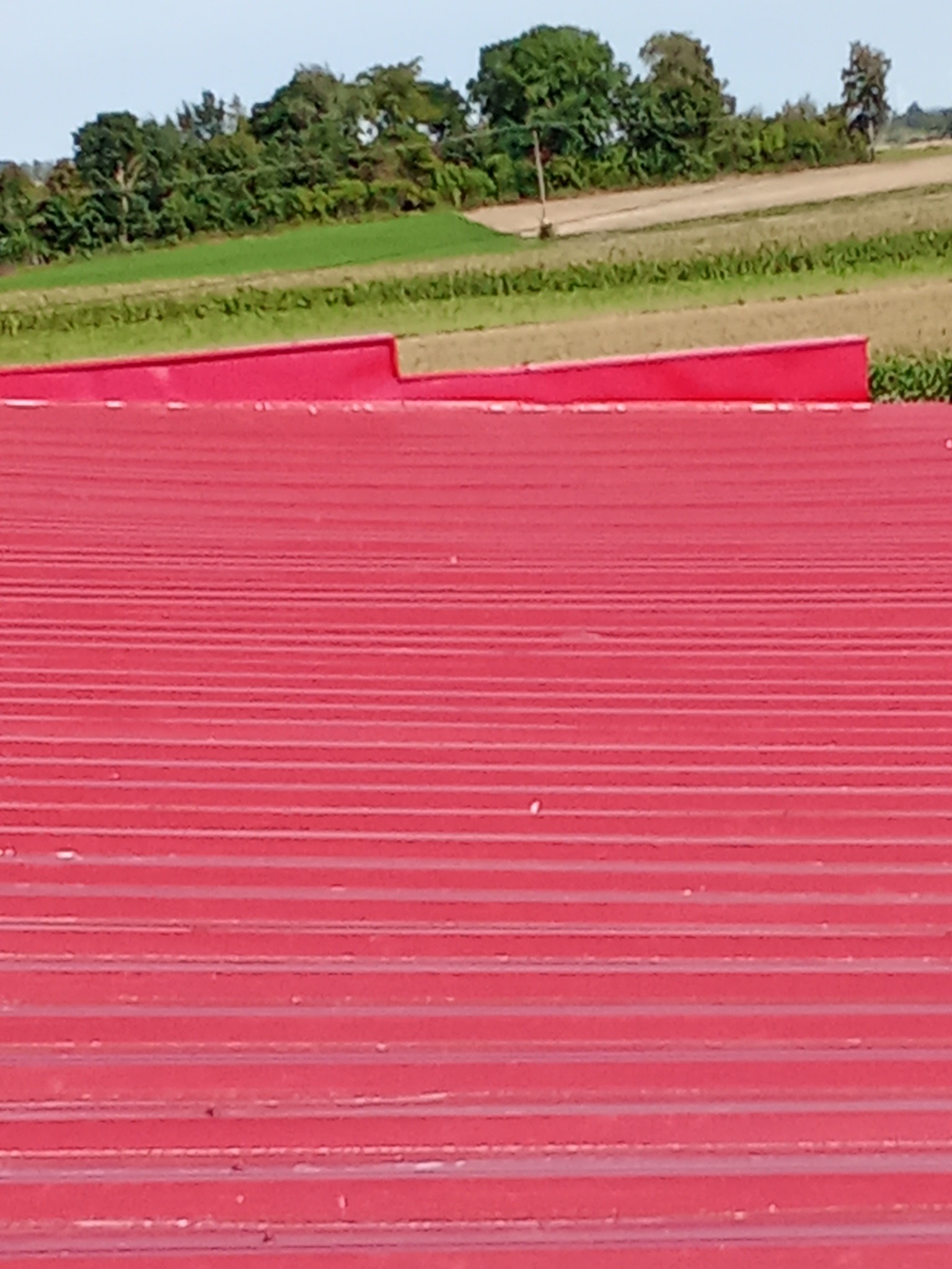 Czerwony dach z blachy trapezowej na tle zielonych pól i drzew, widok z góry.