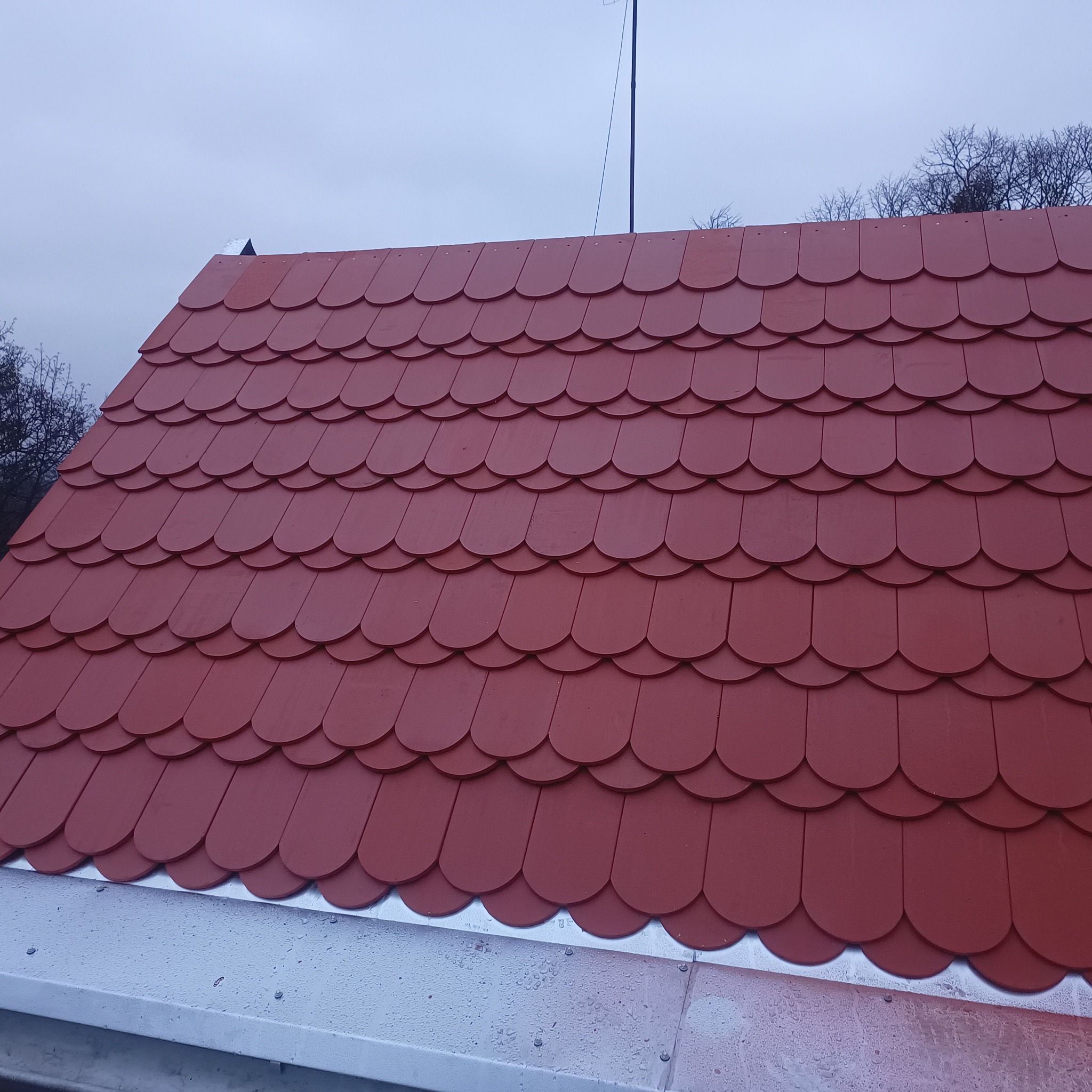 Nowe, czerwone dachówki bitumiczne w kształcie bobrówki, zamontowane na dachu budynku w Leśniewie, z widoczną metalową rynną. W tle pochmurne niebo i korony drzew.