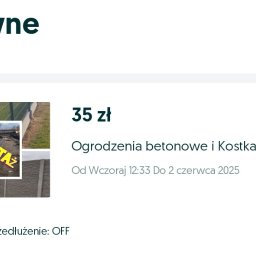 Montaż ogrodzeń Świebodzin 1