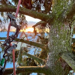 Pielęgnacja ogrodów Rumia 1