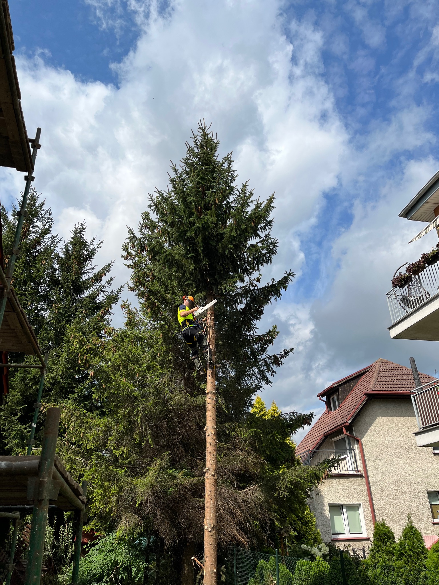 Arborysta w uprzęży, z piłą spalinową, przy pniu po wycince drzewa iglastego, na tle nieba z chmurami i zabudowań mieszkalnych.