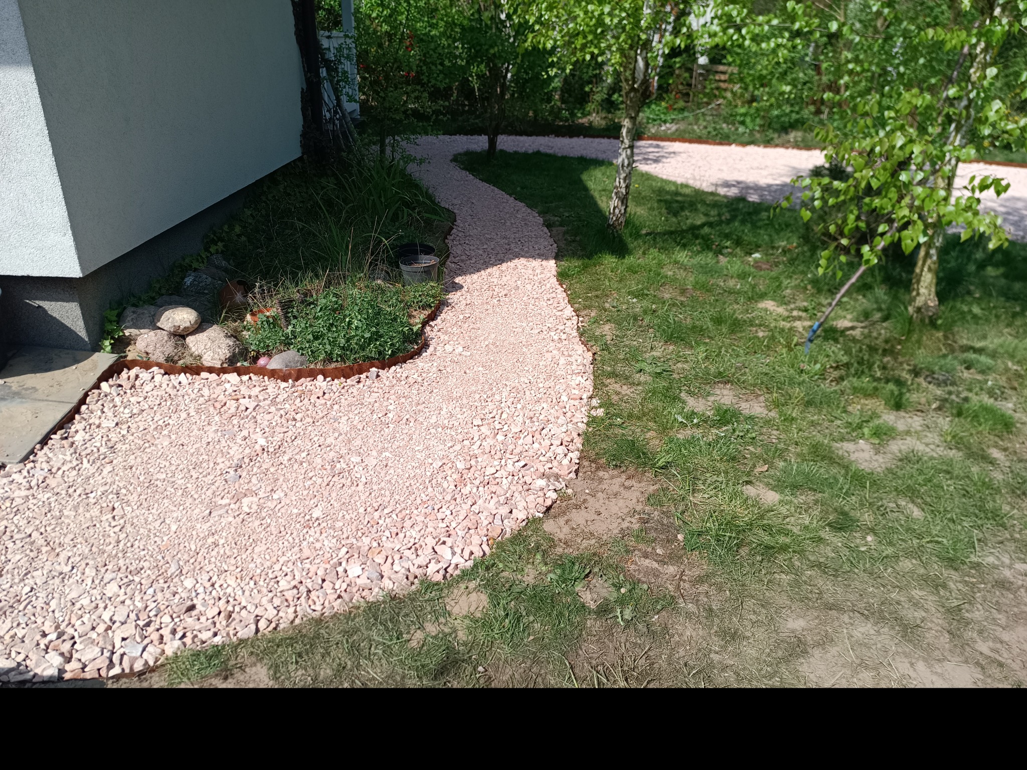 Kruchy, różowy żwir tworzy ścieżkę wijącą się obok białego budynku i przez trawnik z młodymi brzozami, obrzeża ścieżki wykończone brązowym metalem.