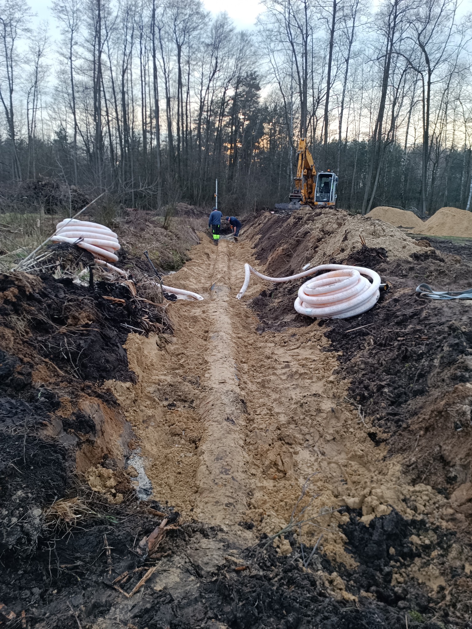 Wykopany rów w ziemi z rurami drenarskimi zwiniętymi w zwoje na brzegach, robotnicy przy pracy, w tle koparka i las.