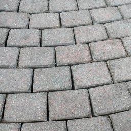 Transport busem Stobno 3