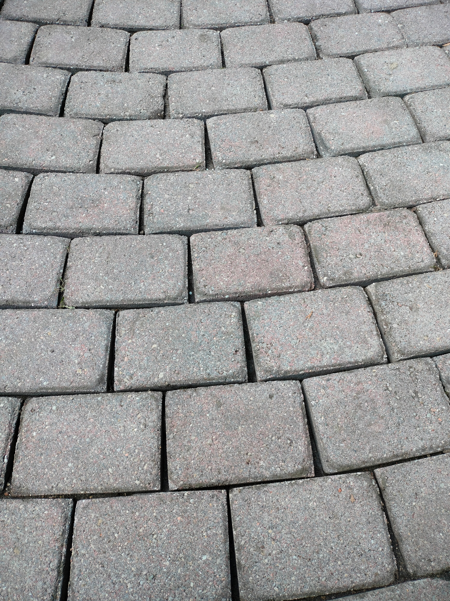 Szara kostka brukowa ułożona w łuk, z widocznymi spoinami i drobnymi porostami. Ujęcie z bliska, podkreślające fakturę materiału.