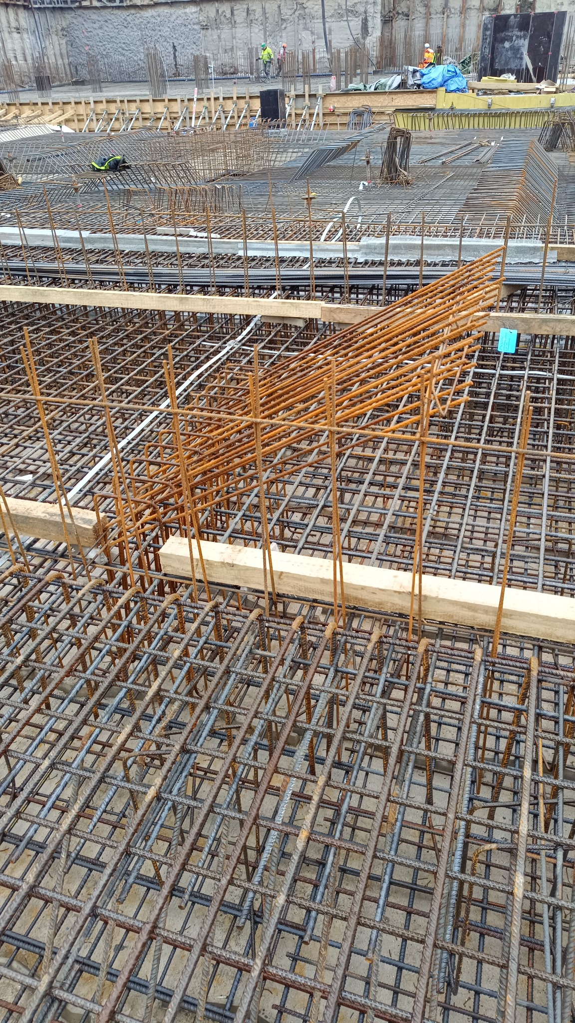 Siatka zbrojeniowa fundamentów, z widocznymi elementami pionowymi i poziomymi, zabezpieczona drewnianymi belkami, na budowie w Gdyni.