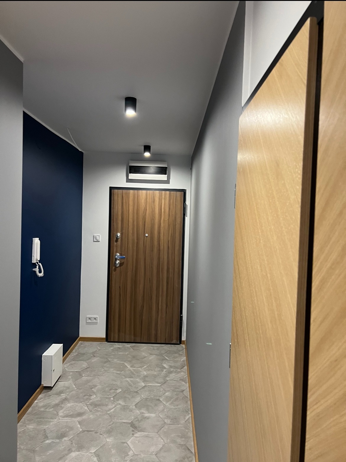 Nowoczesny przedpokój z drewnianymi drzwiami wejściowymi i wewnętrznymi, szarą podłogą w heksagony i granatową ścianą. Minimalistyczne oświetlenie sufitowe.