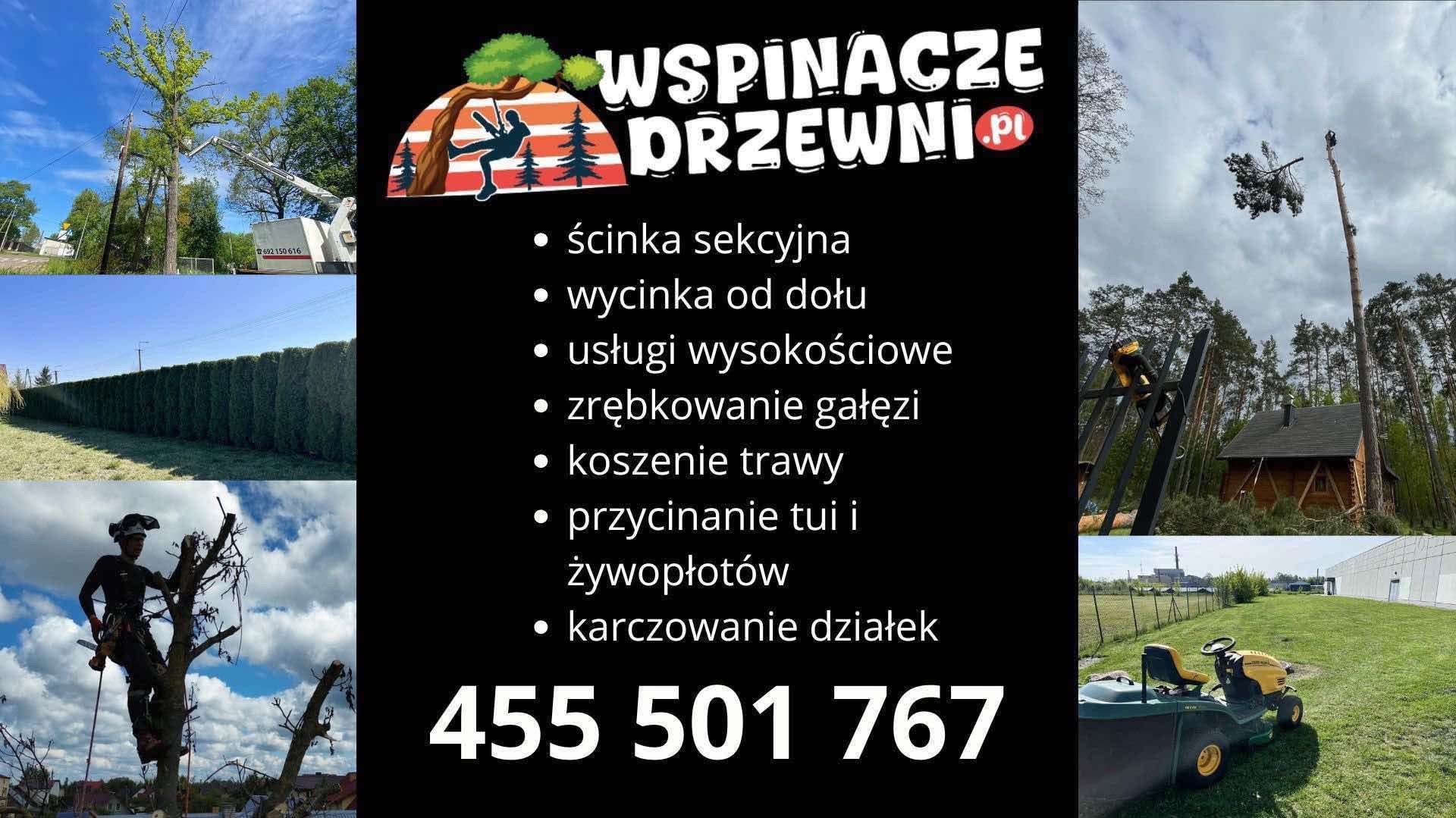 Usługi ogrodnicze: wycinka sekcyjna drzew z podnośnika, przycinanie żywopłotów, karczowanie działek, koszenie trawy. Na zdjęciu pracownik na drzewie i maszyny.