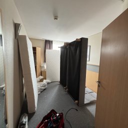 Dezynsekcja i deratyzacja Poznań 1