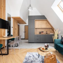 Przedsiębiorstwo Produkcyjno Handlowe ESKA - Nowoczesne wnętrze ze skośnym sufitem i oknem dachowym. Kuchnia w szarościach i drewnie, stół z szachami, zielona sofa i drewniane akcenty dekoracyjne.