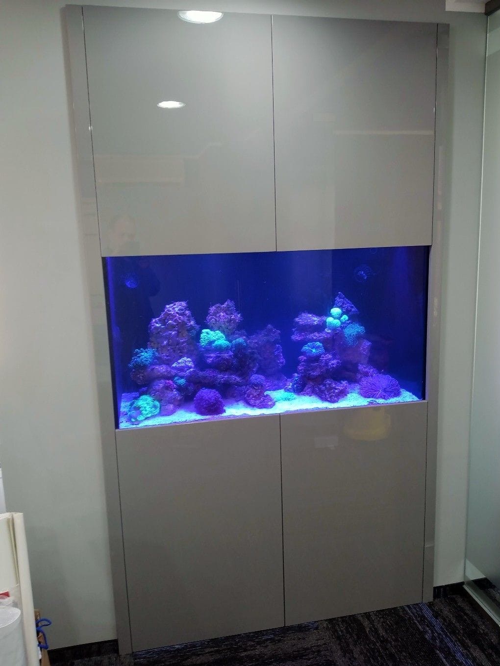 Wbudowane akwarium rafowe z oświetleniem LED, umieszczone w gładkiej, szarej zabudowie meblowej, tworzące element dekoracyjny wnętrza.