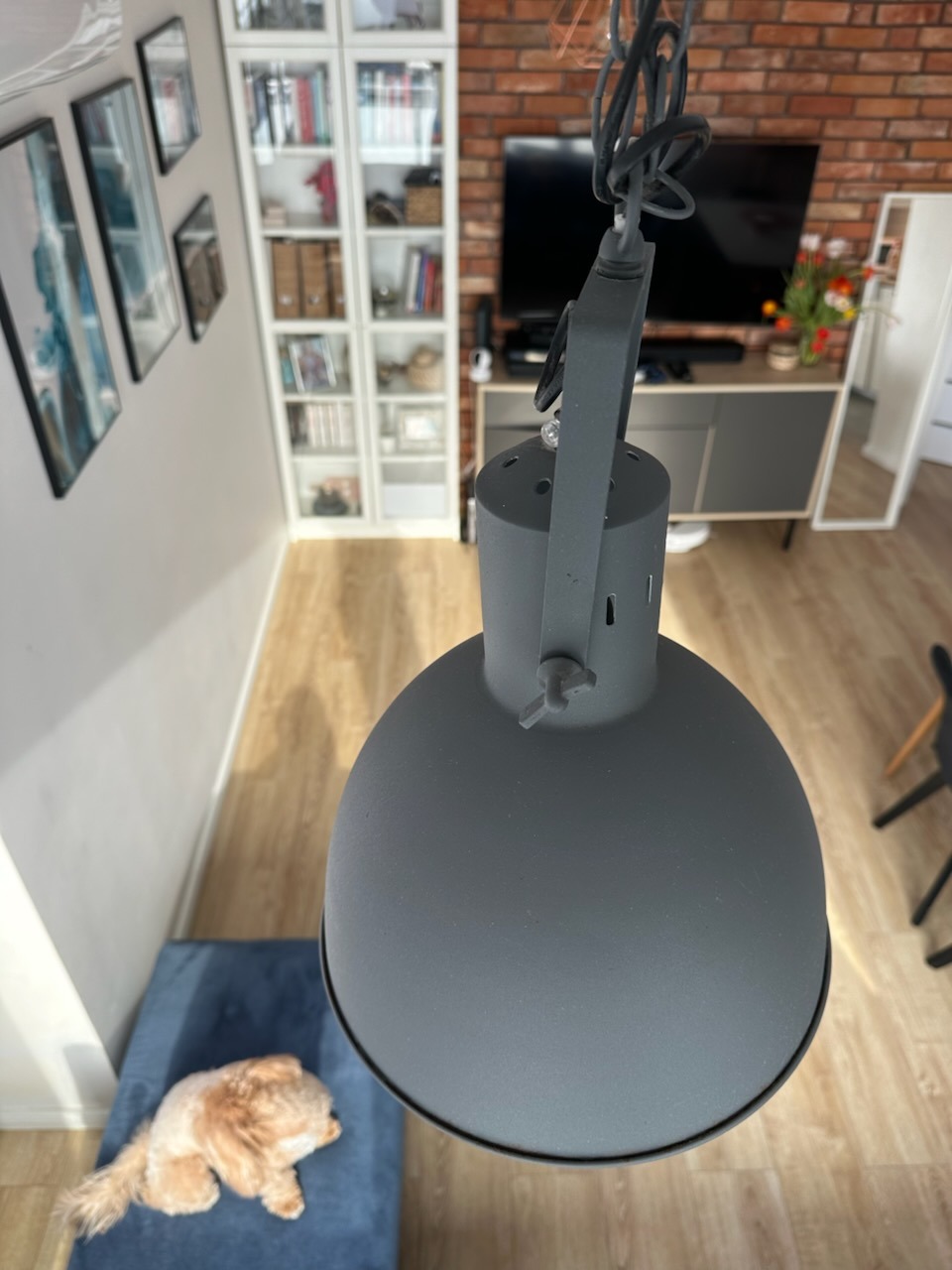 Szary metalowy klosz lampy wiszącej w surowym stylu, z widocznym przewodem i mechanizmem mocującym, na tle wnętrza mieszkania z ceglaną ścianą, białymi regałami i małym psem leżącym na niebieskiej...