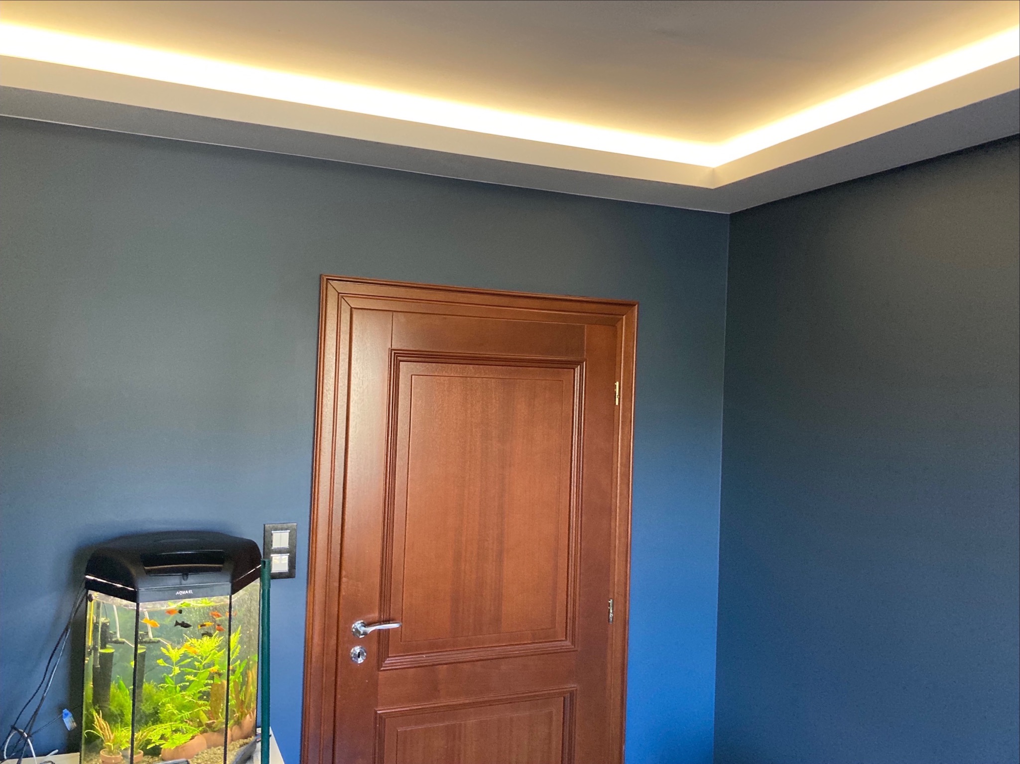 Granatowa ściana z drewnianymi drzwiami i akwarium podświetlona ledowym oświetleniem sufitowym