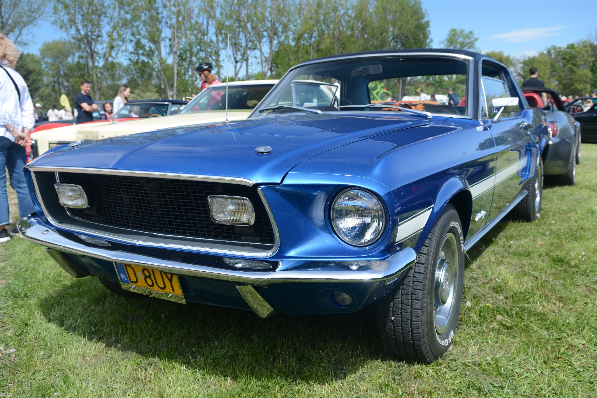 Błękitny Ford Mustang z 1967 roku na trawie, widok z przodu, chromowane detale, tablica rejestracyjna 'D 8UY', uczestnicy zlotu w tle.
