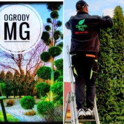 Zakładanie ogrodów Marcinowice 4