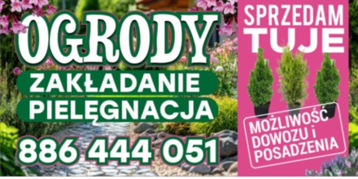Grafika reklamowa firmy ogrodniczej: napis 'Ogrody', usługi 'Zakładanie' i 'Pielęgnacja', numer telefonu oraz oferta sprzedaży tui z możliwością dowozu i posadzenia.