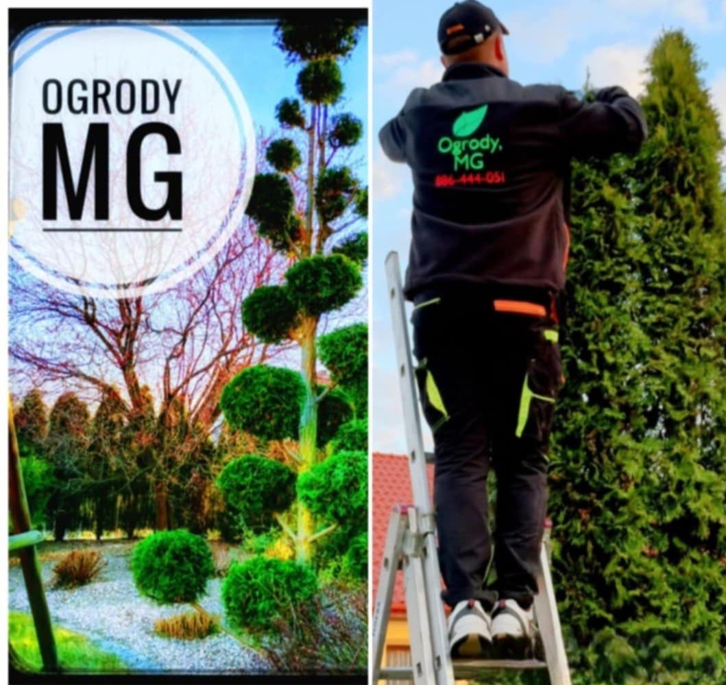 Mężczyzna na drabinie, w stroju roboczym z logo firmy ogrodniczej, przycina wysoki żywotnik. Po lewej stronie kolaż ze zdjęciem ogrodu z kulistymi formami roślin i logo firmy.
