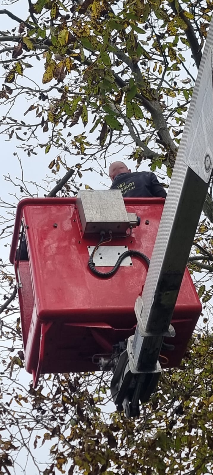 Pracownik w podnośniku koszowym, ubrany w bluzę z logo firmy, wykonuje prace pielęgnacyjne na drzewie z żółknącymi liśćmi. Widok z dołu na kosz i drzewo.