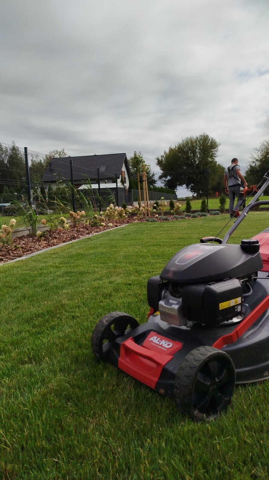 Czerwono-czarna kosiarka Al-ko na tle świeżo skoszonego trawnika z rabatami i ogrodzeniem. W tle sylwetka mężczyzny z podkaszarką.