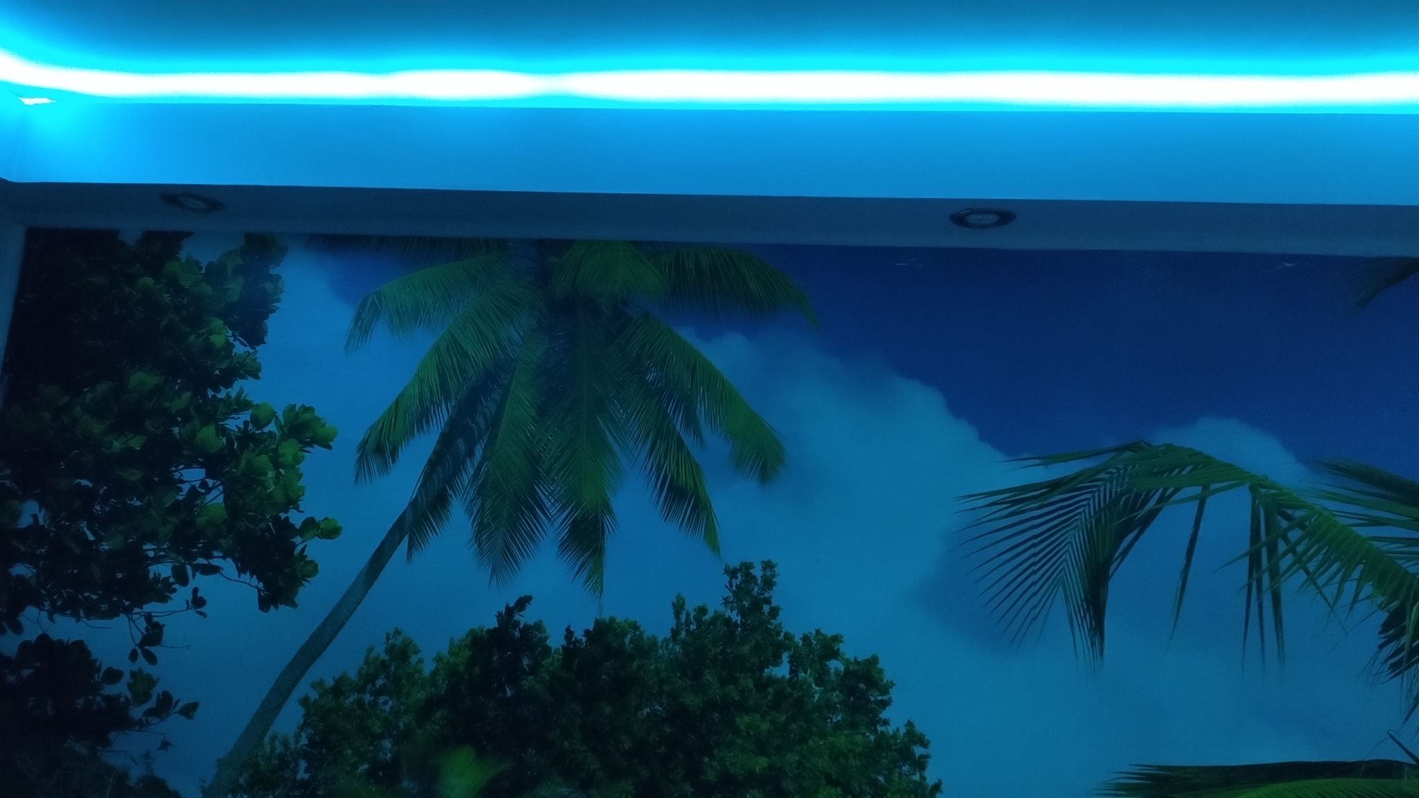 Fototapeta z motywem tropikalnych palm na ścianie, oświetlona niebieskim światłem LED, tworzy relaksujący klimat we wnętrzu. Widoczne elementy wykończenia sufitu.