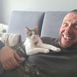 Usługi og&oacute;lnobudowlane Maciej Rowiński - Malowanie w Firmach Szczecin