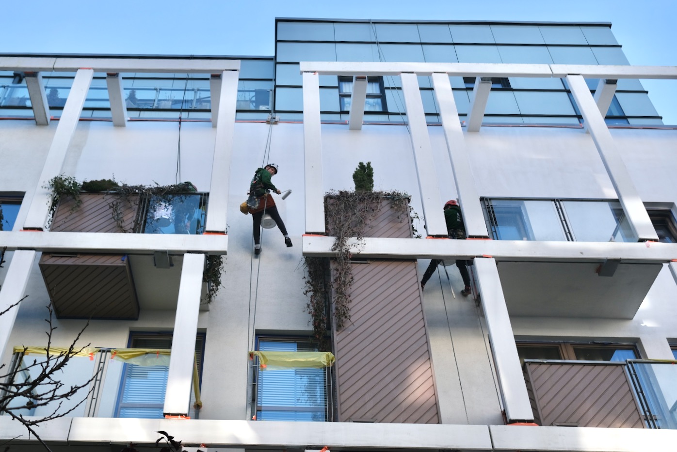 Mycie,impregnacja i malowanie elewacji.