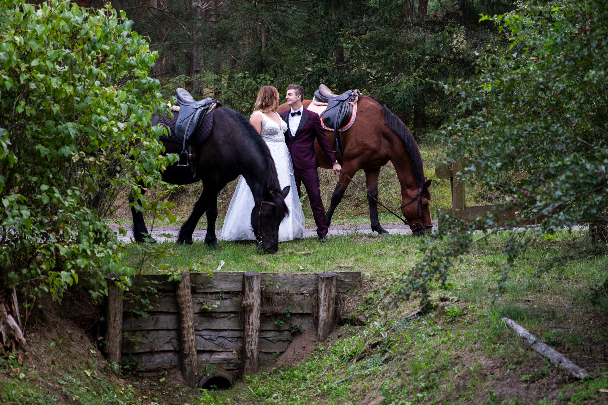 Sesja ślubna w plenerze: para młoda w leśnej scenerii, pozuje z dwoma końmi. Pan młody w bordowym garniturze, panna młoda w białej sukni. Romantyczna atmosfera.