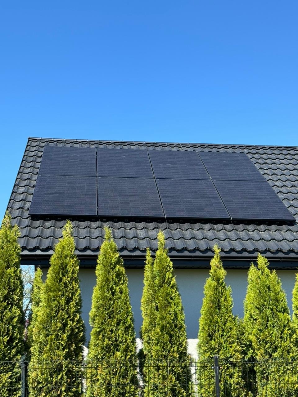 Czarny panel fotowoltaiczny na ciemnym, spadzistym dachu domu, widoczny zza rzędu wysokich, zielonych tuj, na tle błękitnego nieba.