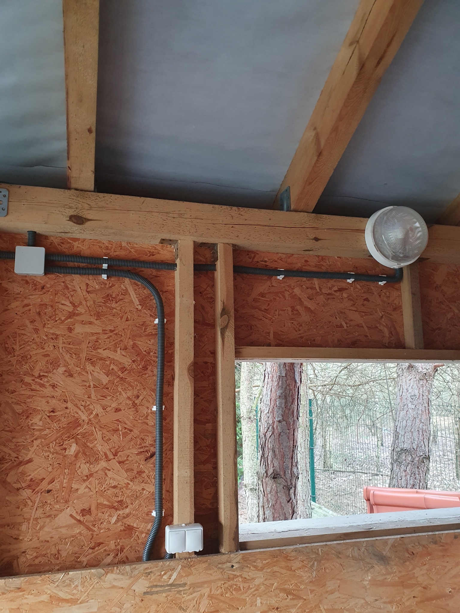 Instalacja elektryczna w drewnianej altance: peszel przymocowany do ściany z płyty OSB, puszka elektryczna i włącznik światła, widok na drzewa przez okno.