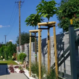 Nowoczesne ogrodzenie z szarej kostki betonowej, podtrzymywane młode drzewka z drewnianymi stelażami, dekoracyjny biały żwir i zadbany trawnik w tle.