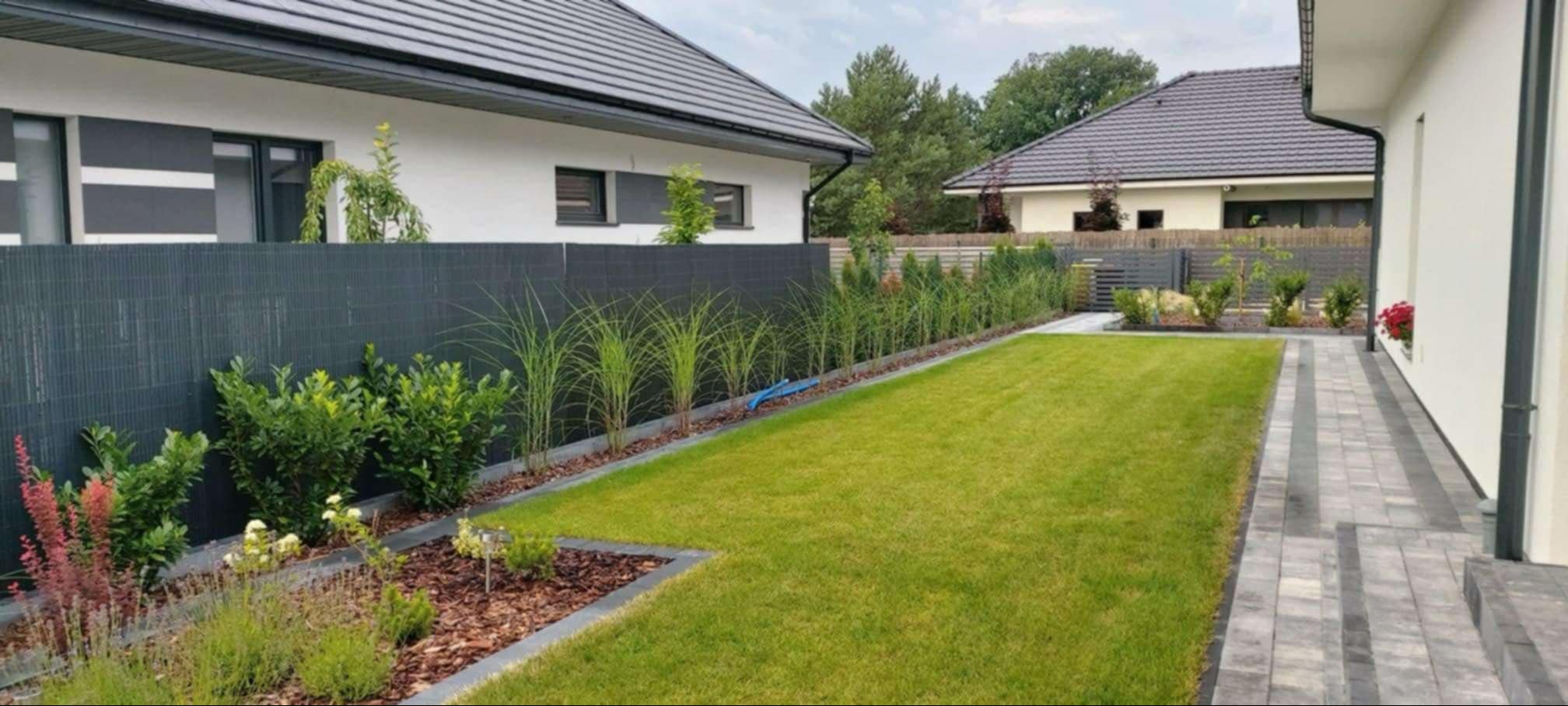 Świeża trawa i mnóstwo roślin