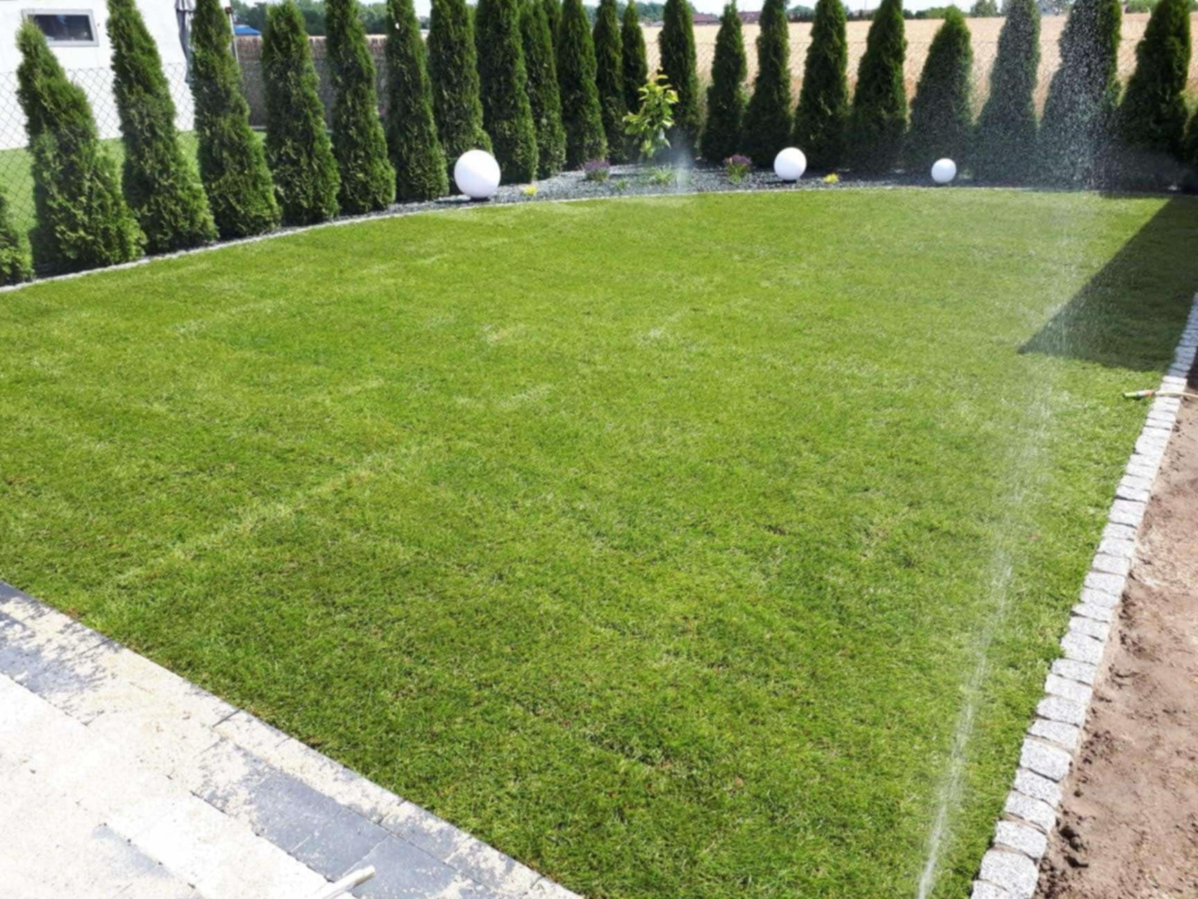 Trawa z rolki oraz nawadnianie