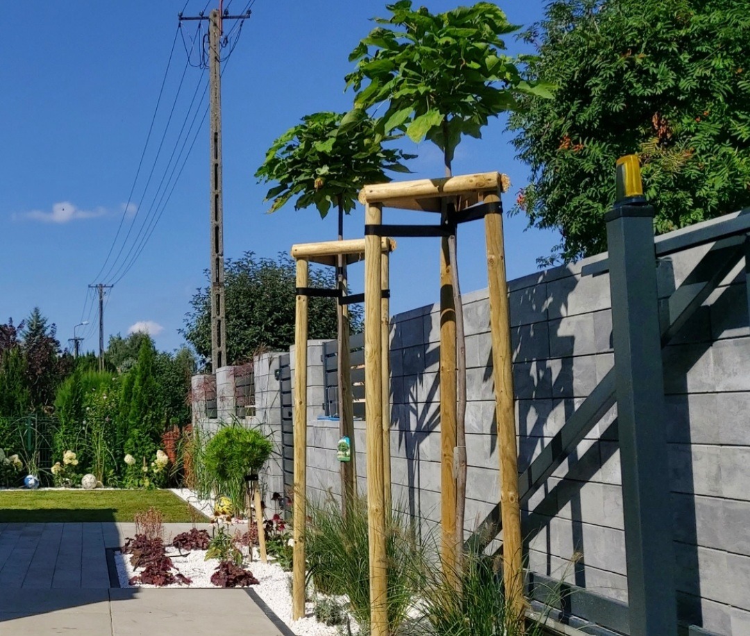 Nowoczesne ogrodzenie z szarej kostki betonowej, podtrzymywane młode drzewka z drewnianymi stelażami, dekoracyjny biały żwir i zadbany trawnik w tle.